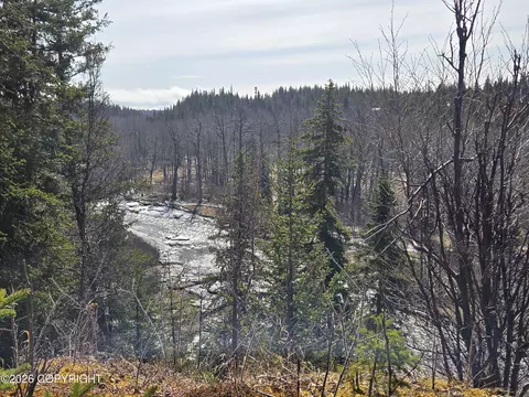 34435 Sterling Hwy, Anchor Point, AK 99556