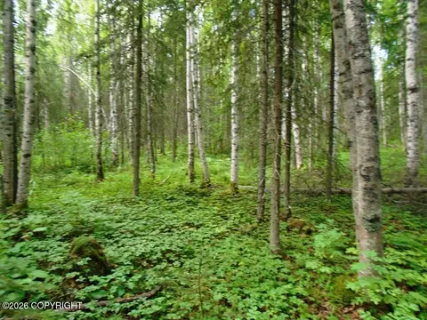 1801 N Claudia Rd, Houston, AK 99623