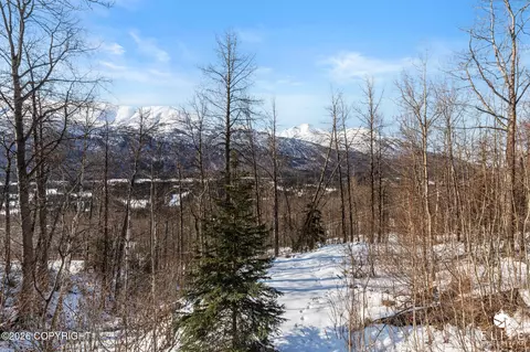 Other - 25418 Eagle River Rd, Eagle River, AK 99577 photo 4 of 10