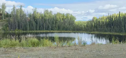 3994 S Arrowhead St, Big Lake, AK 99652