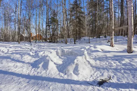 Exterior - 24419 Thunderbird Dr, Chugiak, AK 99567 photo 11 of 12