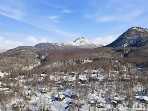 View/Area - 24419 Thunderbird Dr, Chugiak, AK 99567 photo 3 of 7