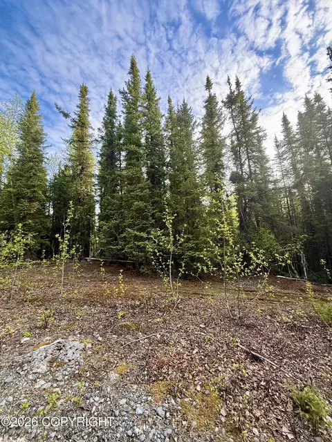 32664 Strauss Ct, Soldotna, AK 99669