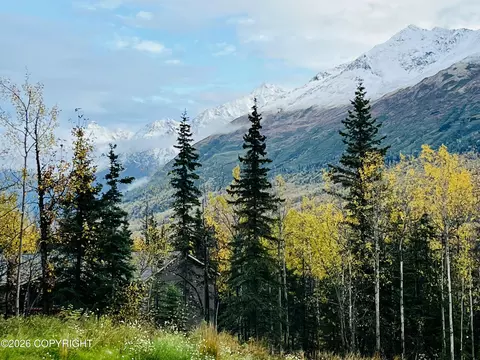 Other - 27365 Vantage Ave, Eagle River, AK 99577 photo 19 of 24