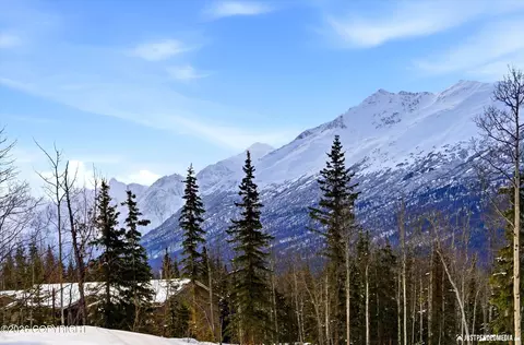 Other - 27365 Vantage Ave, Eagle River, AK 99577 photo 23 of 24