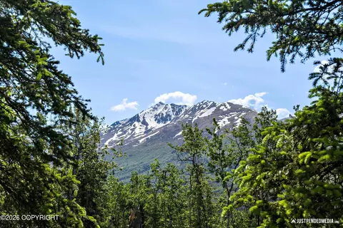 Other - 27365 Vantage Ave, Eagle River, AK 99577 photo 14 of 24