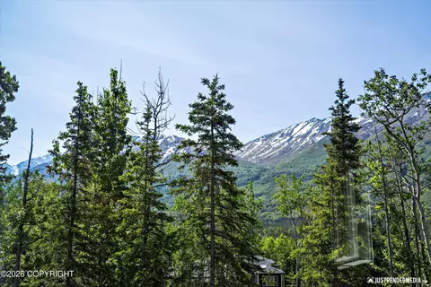 Other - 27365 Vantage Ave, Eagle River, AK 99577 photo 3 of 24
