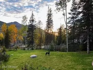 Exterior - 25413 Mc Intyre Rd, Eagle River, AK 99577 photo 15 of 23