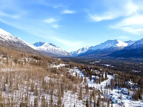 View/Area - 25413 Mc Intyre Rd, Eagle River, AK 99577 photo 7 of 8