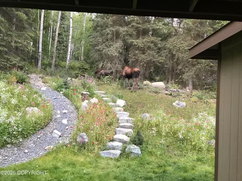 Exterior - 25413 Mc Intyre Rd, Eagle River, AK 99577 photo 16 of 23