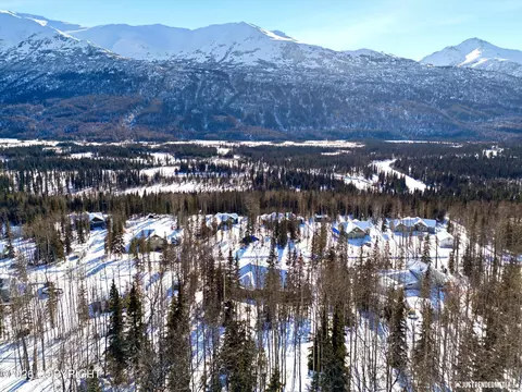 View/Area - 25413 Mc Intyre Rd, Eagle River, AK 99577 photo 5 of 8