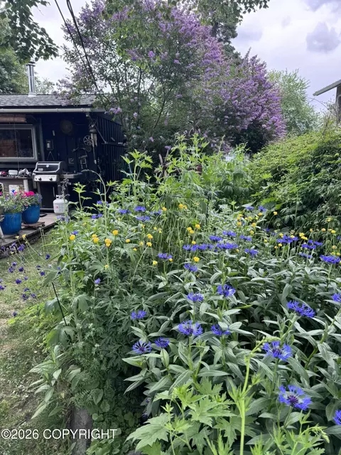 Exterior - 3208 Oregon Dr, Anchorage, AK 99517 photo 15 of 22