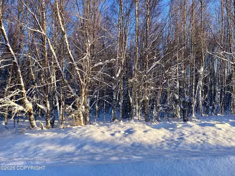 Tr7 Shay Lynn Circle, Soldotna, AK 99669