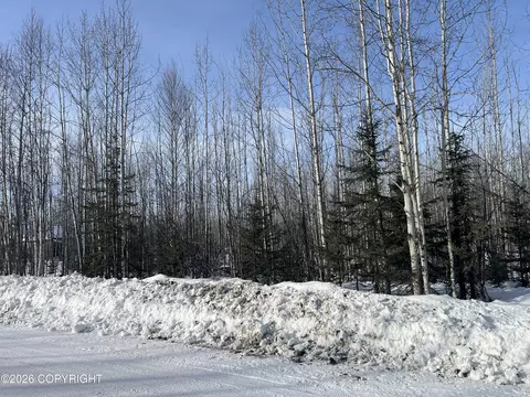 14215 W Masonic Ct, Big Lake, AK 99652