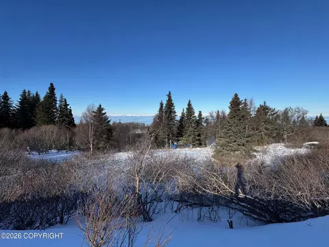 L5 Mead Court, Clam Gulch, AK 99568