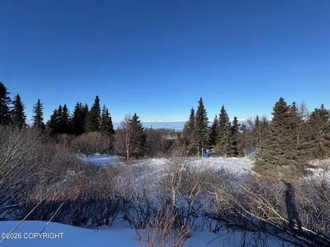 L7 Mead Court, Clam Gulch, AK 99568