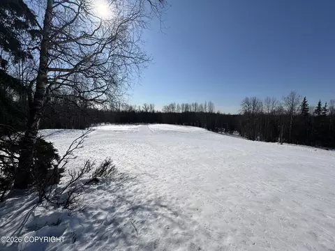 Other - 312 Thomas Cir, Anchorage, AK 99508 photo 14 of 15