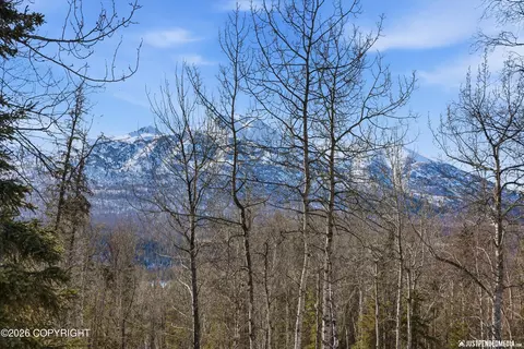 Other - 20844 Trailhead Ave # 6, Eagle River, AK 99577 photo 12 of 12