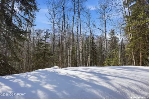 Exterior - 20844 Trailhead Ave # 6, Eagle River, AK 99577 photo 3 of 4