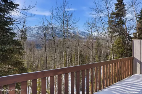 Other - 20844 Trailhead Ave # 6, Eagle River, AK 99577 photo 11 of 12