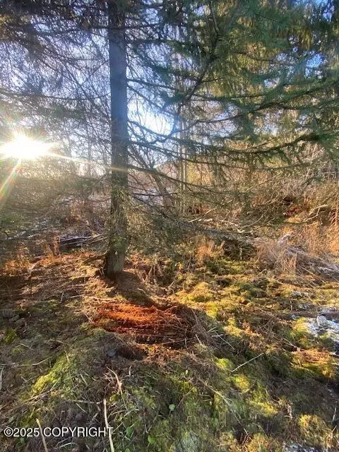 lot21 Shelby Kay, Homer, AK 99603