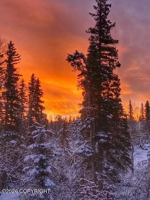 Other - 9850 Main Tree Dr, Anchorage, AK 99507 photo 14 of 31