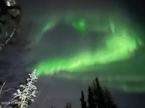 Other - 9850 Main Tree Dr, Anchorage, AK 99507 photo 12 of 31