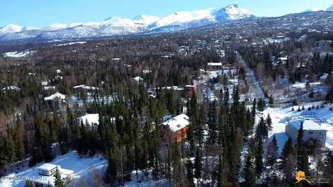 View/Area - 9850 Main Tree Dr, Anchorage, AK 99507 photo 6 of 12