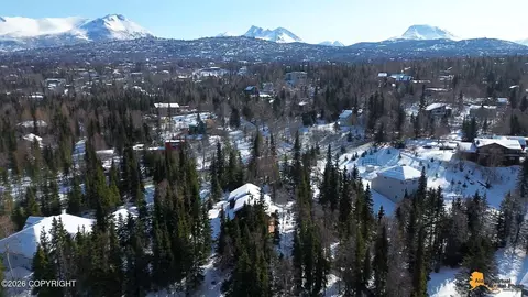 View/Area - 9850 Main Tree Dr, Anchorage, AK 99507 photo 5 of 12