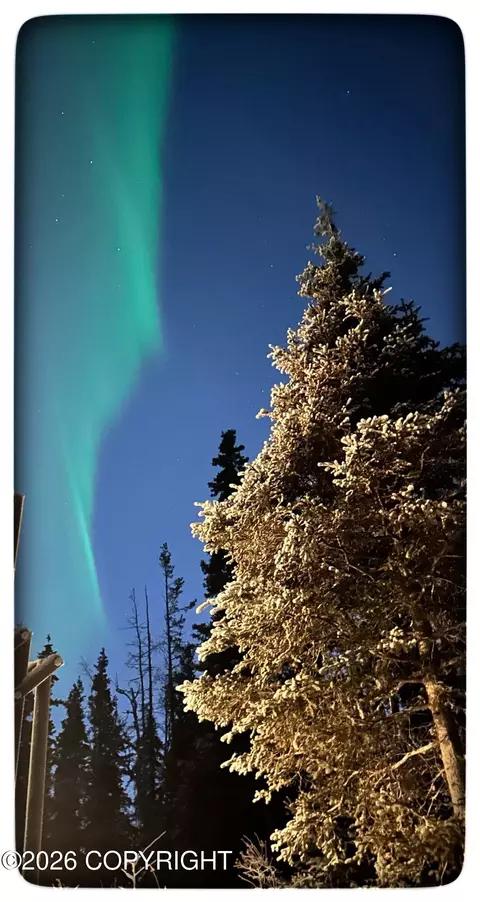 Other - 9850 Main Tree Dr, Anchorage, AK 99507 photo 10 of 31