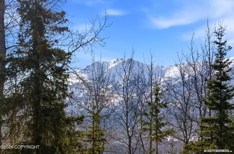 Other - 19120 Babrof Dr, Eagle River, AK 99577 photo 1 of 24