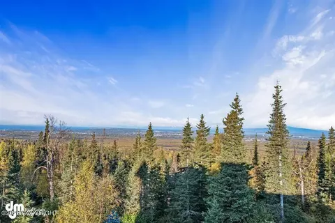 Other - 10121 Middlerock Rd, Anchorage, AK 99507 photo 32 of 32