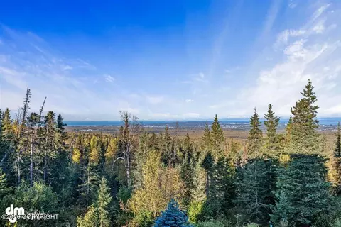 View/Area - 10121 Middlerock Rd, Anchorage, AK 99507 photo 4 of 5
