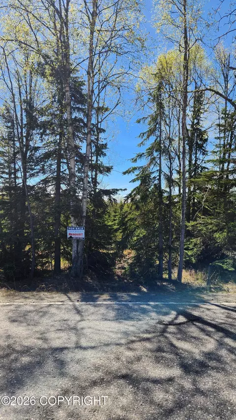 45650 Miller Loop Rd, Nikiskinorth Kenai, AK 99635