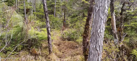 Other - Nhn Eastern Passage, Wrangell, AK 99929 photo 4 of 8