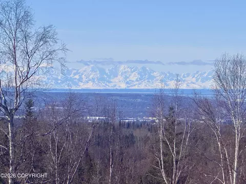 View/Area - 6700 Round Tree Dr, Anchorage, AK 99507 photo 3 of 7