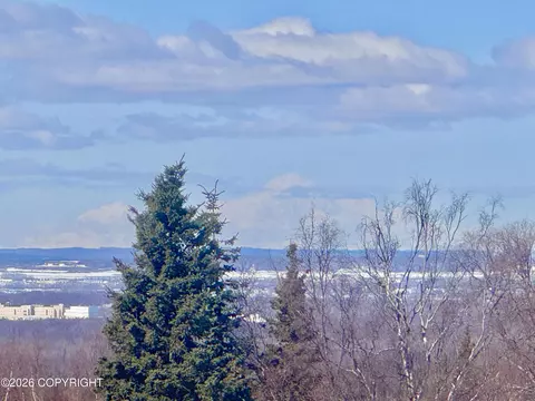 View/Area - 6700 Round Tree Dr, Anchorage, AK 99507 photo 2 of 7