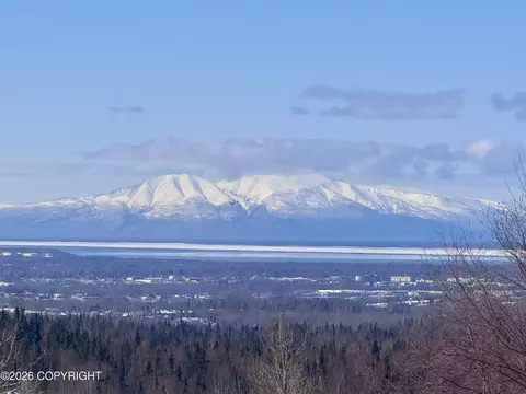 View/Area - 6700 Round Tree Dr, Anchorage, AK 99507 photo 1 of 7