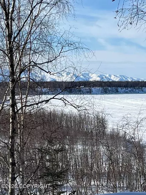 View/Area - Tr E-2 Big Bend, Remote, AK 99667 photo 2 of 2