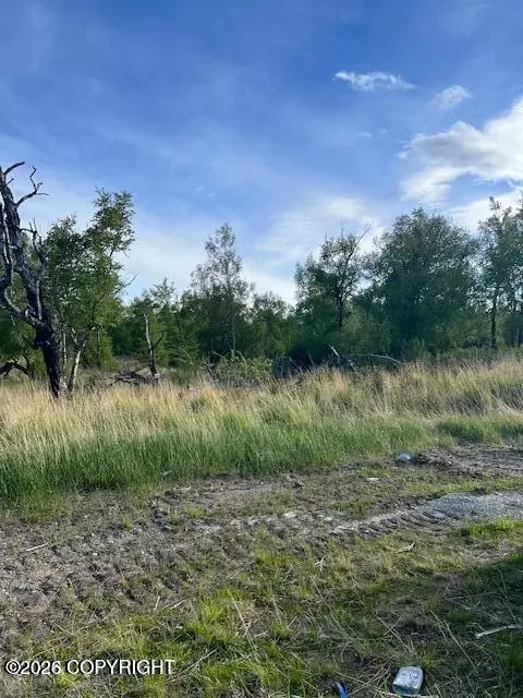 850 E Blue Atlas Cir, Palmer, AK 99645