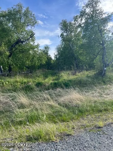 1391 N Cedar Hills Dr, Palmer, AK 99645