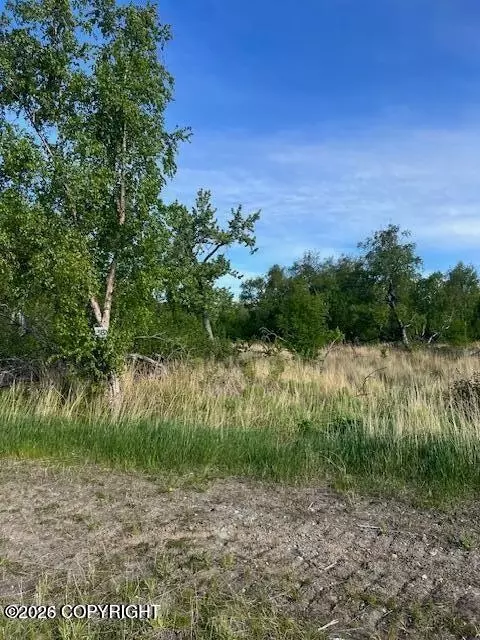 840 E Blue Atlas Cir, Palmer, AK 99645