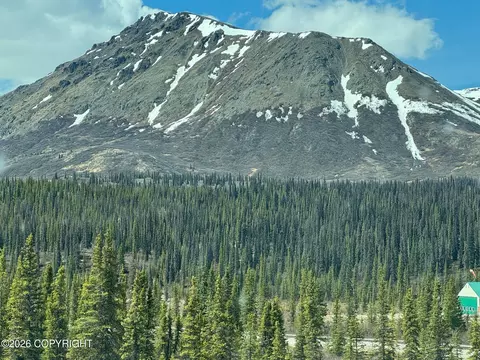 L15 Wonderstruck Avenue, Cantwell, AK 99729