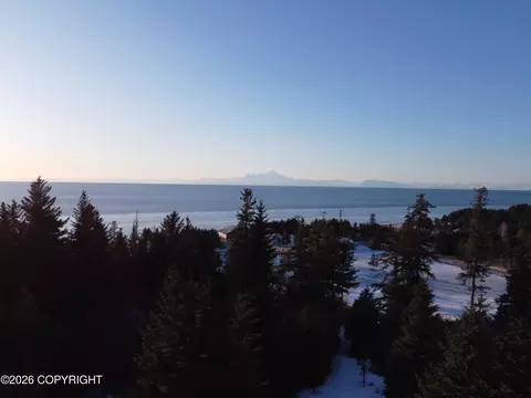 35048 Spruce Vw St, Anchor Point, AK 99556