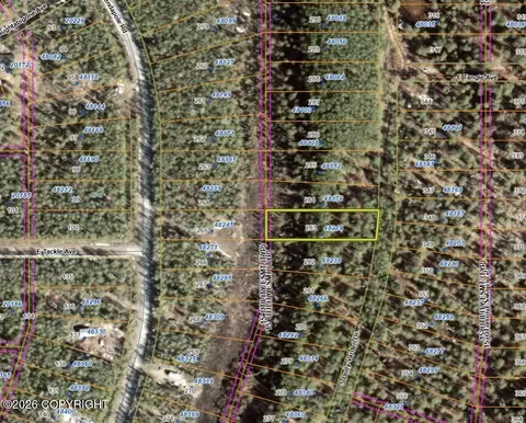 48214 S Dolly Varden Dr, Willow, AK 99688