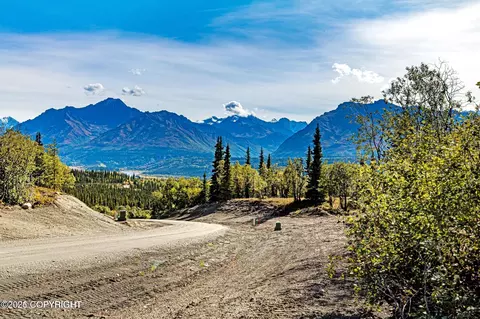 63270 S Red Rooster Rd, Chickaloon, AK 99674