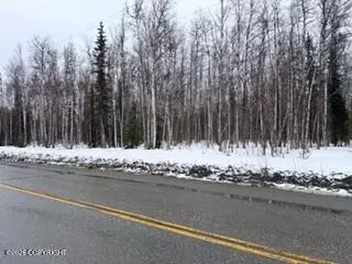 25010 W Long Lake Rd, Willow, AK 99688