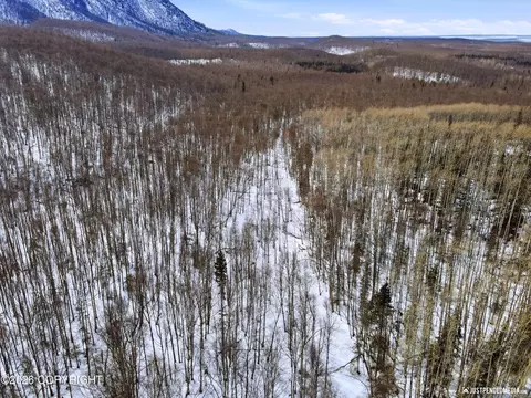 Other - 24407 Thunderbird Dr, Chugiak, AK 99567 photo 12 of 12