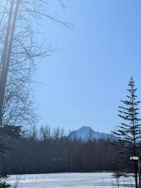 6700 E Radon Dr, Wasilla, AK 99654