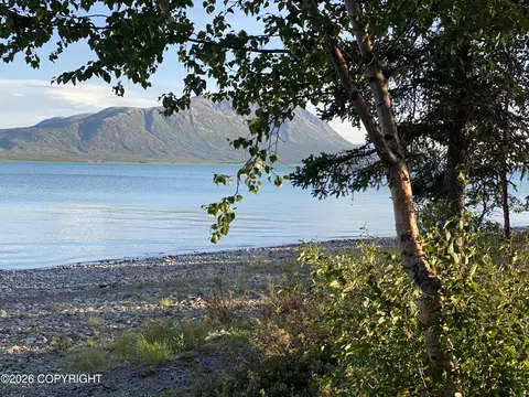 L13 B6 Keyes Point, Port Alsworth, AK 99653
